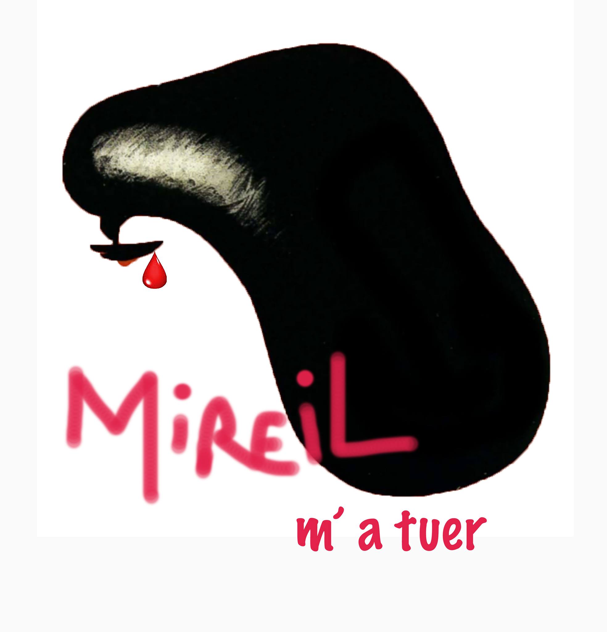 logo_mireil